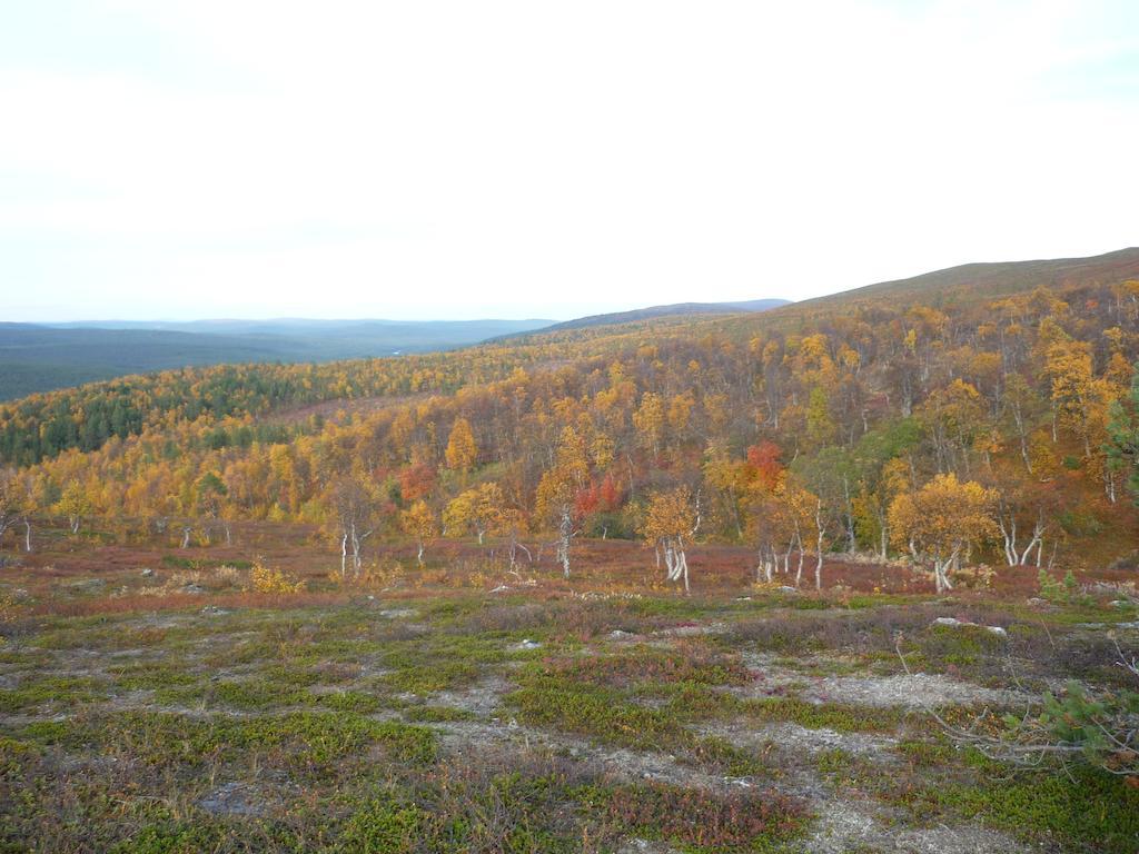 Lemmenjoen Lumo - Nature Experience & Accommodation Lemmenjoki Экстерьер фото